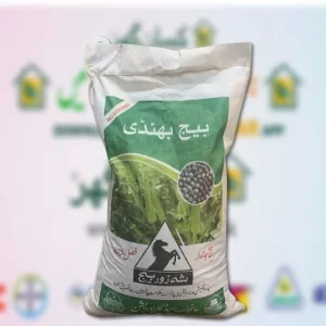 Bhindi Seed